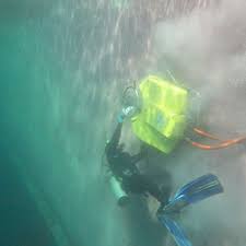 Shipping Cleaning Service