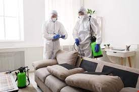 Sanitization Services